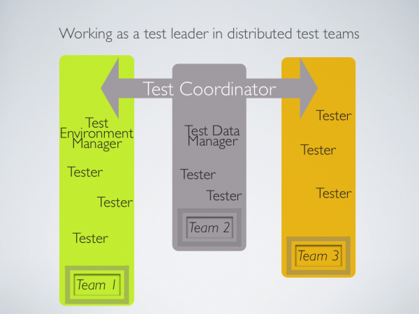 Working as a test leader in distributed test teams.003