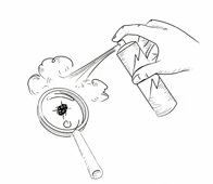 17 - Killing bugs - spray