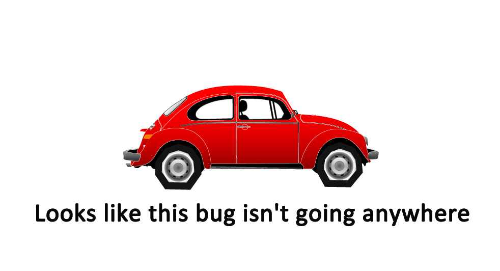 bug car