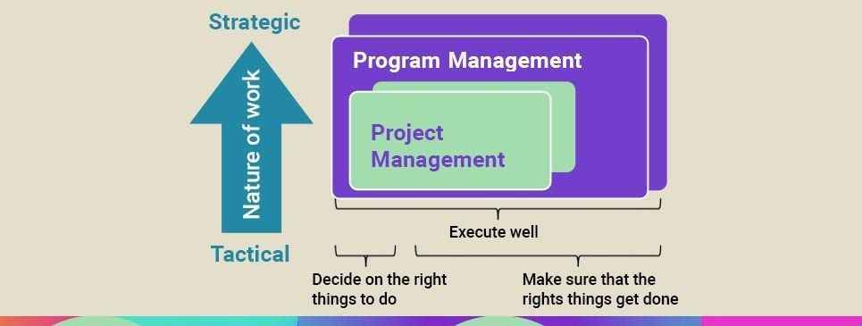 Program Manager Vs Project Manager